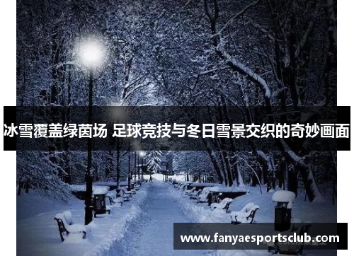 冰雪覆盖绿茵场 足球竞技与冬日雪景交织的奇妙画面