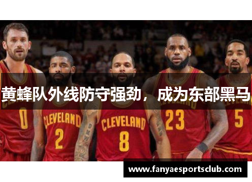 黄蜂队外线防守强劲，成为东部黑马