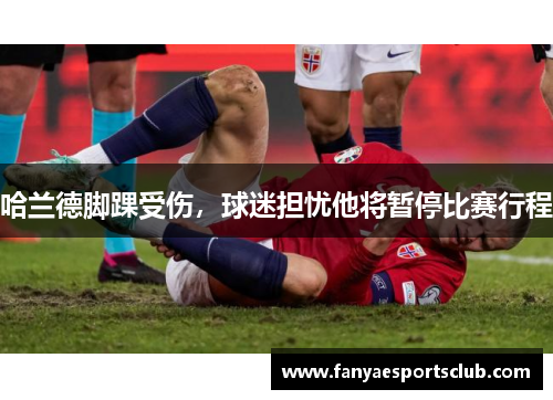 哈兰德脚踝受伤，球迷担忧他将暂停比赛行程